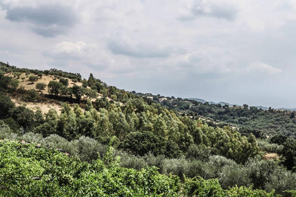 Agriturismo Miracco Atanasio Franco "Il Maniero" Santa Sofia d'Epiro Extérieur photo